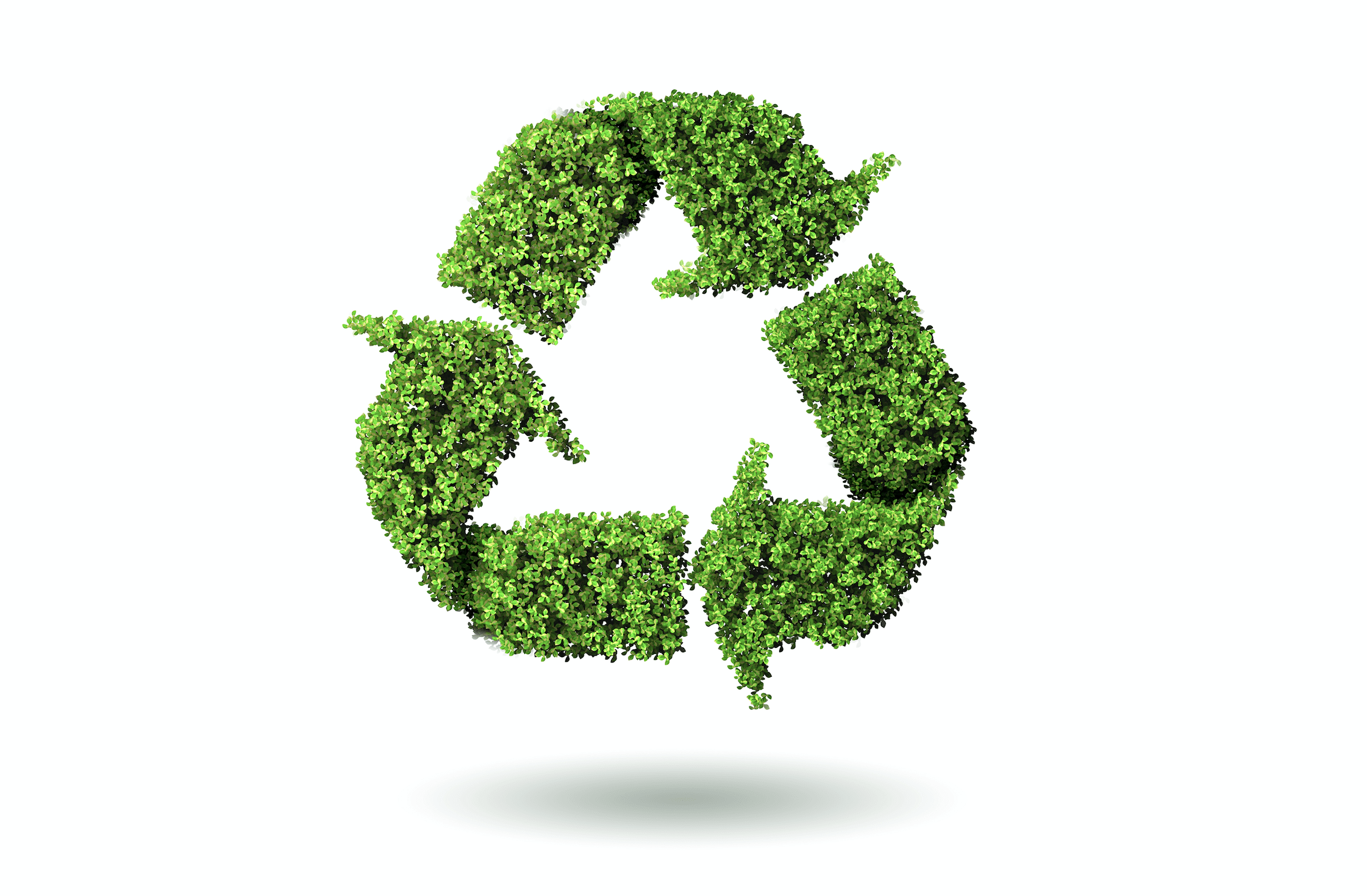 Refurbishment and circular economy - AMW Health Investment